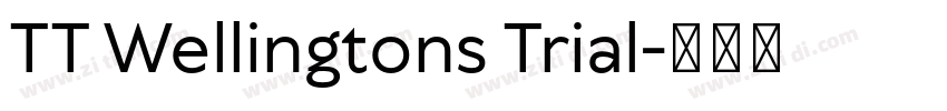 TT Wellingtons Trial字体转换